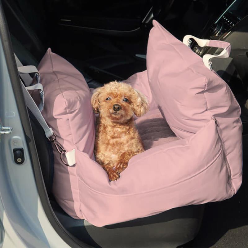 Petit caniche dans le siège, portière ouverte