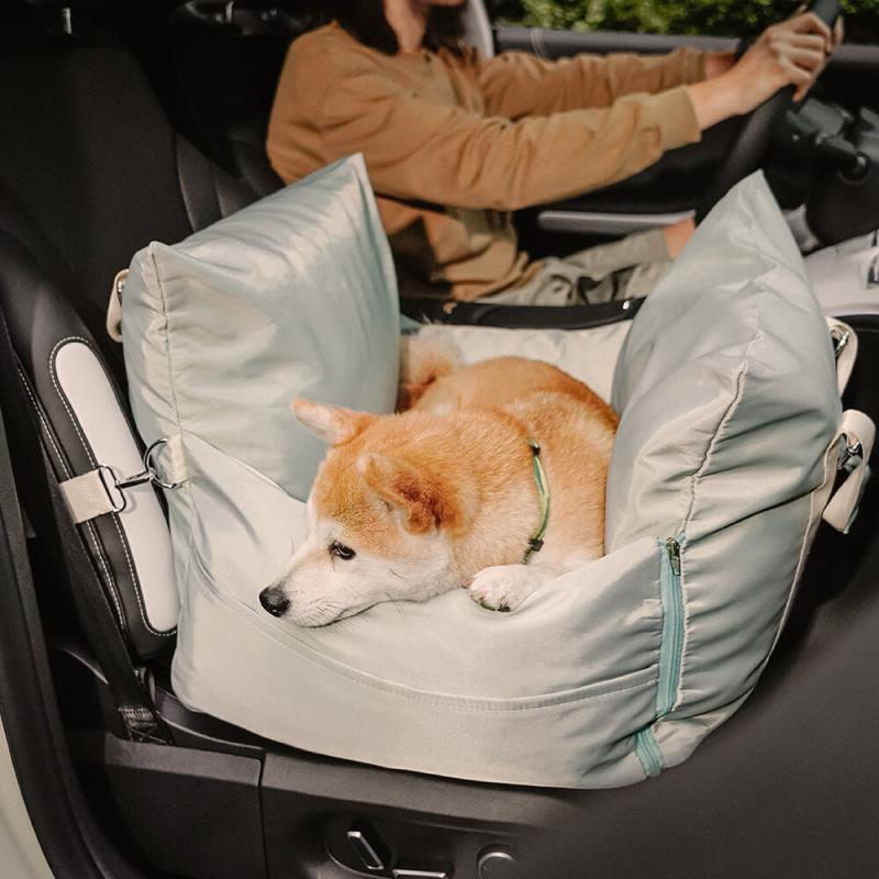 Chien attaché dans le siège, à côté du conducteur